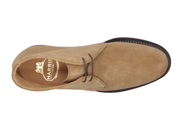 Harris Polacchino in suede^ Stivaletti